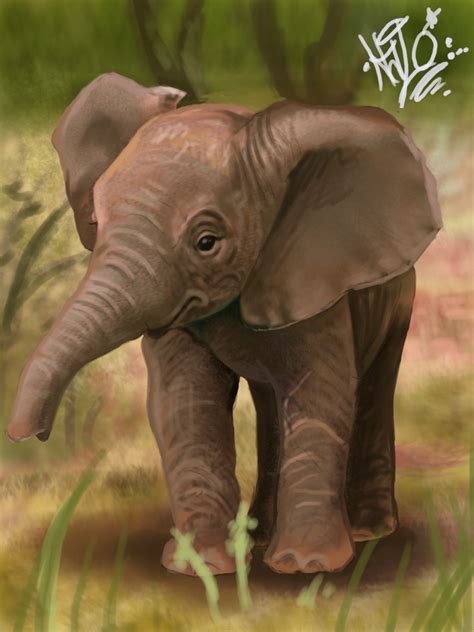 Elephants print 26 x 18 · elephants print 18 x 12 47+ Free Baby Elephant Wallpaper on WallpaperSafari