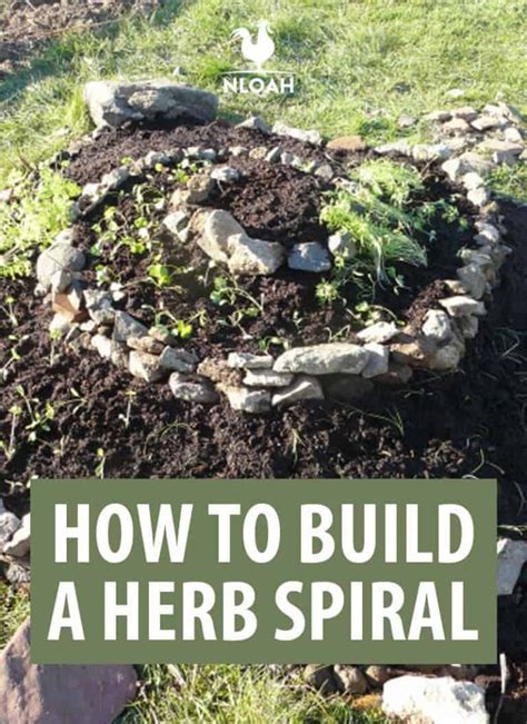 How To Build A Herb Spiral Herb Spiral Organic Gardening Tips