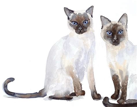 Original Cats Siamese Art Original Art 12x16 Watercolor Etsy New Zealand
