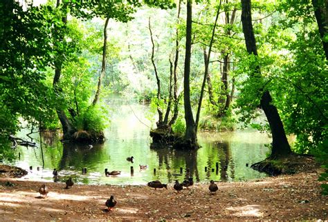 Niebieskie źródła, tomaszów mazowiecki 4.5. Tomaszów Mazowiecki | Niebieskie źródła, skansen Pilicy i ...