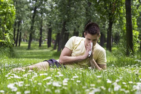 Grass Allergy Causes Symptoms And Treatments