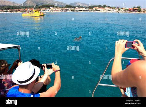 Glass Bottomed Tourist Boat Looking For Loggerhead Turtles Carreta