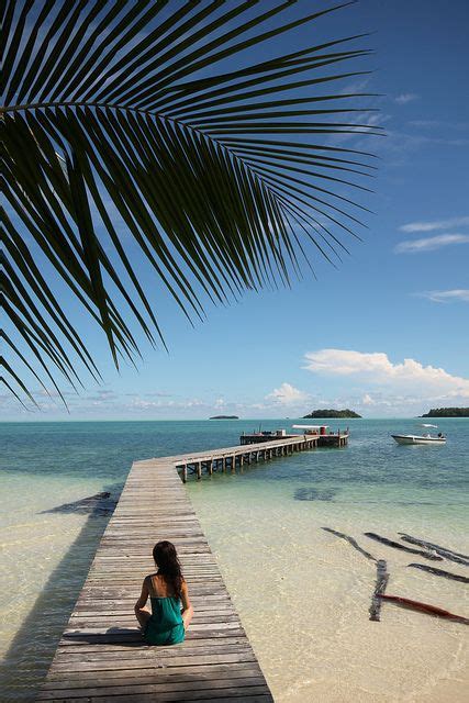 South Pacific Dreams Pier At Carp Island Palau Palau Islands