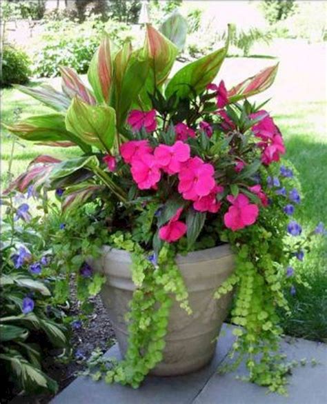 Summer Color Container Planting Ideas 17 Container