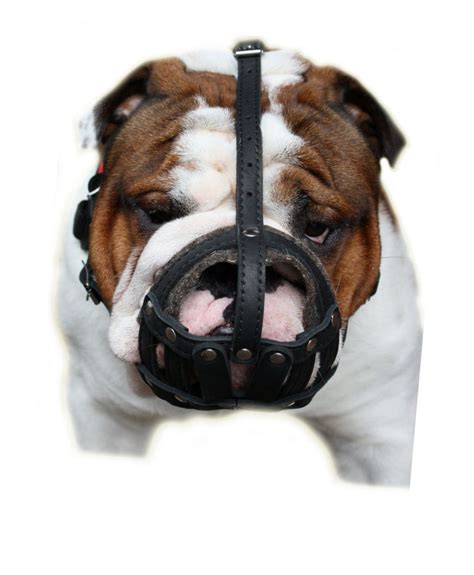 Bulldog Muzzles English Bulldog Muzzle Leather Basket