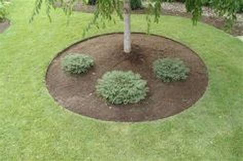 A fence isn't the only way to establish a border. Lawn Edging for Tree Rings - Landscape Edging Blog