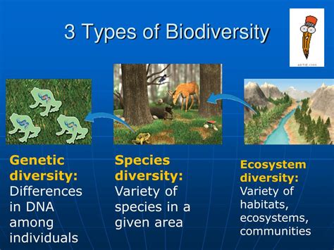 Ppt Chapter 7 Biodiversity And Conservation Powerpoint Presentation