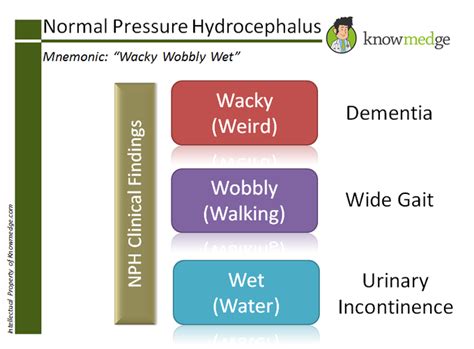 Normal Pressure Hydrocephalus Mnemonic MEDizzy