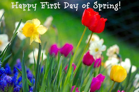 Happy First Day Of Spring Facts About The Vernal Equinox Between Us