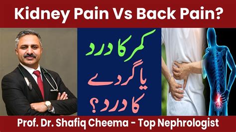 Musculoskeletal Back Pain Vs Kidney Pain Or Renal Colic 5 Differences