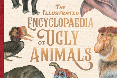 The Illustrated Encyclopaedia Of Ugly Animals Conjour Book Review