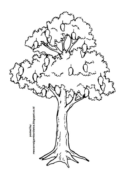 Mewarnai Gambar Mewarnai Gambar Sketsa Pohon 1