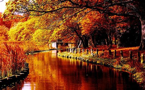 Romantic Autumn Water Trees Bridge River Autumn Hd Wallpaper Peakpx