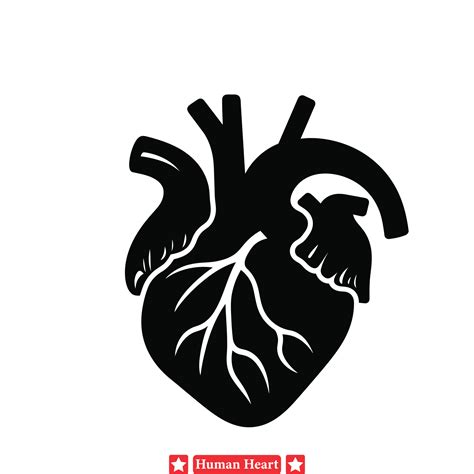 Educational Excellence Human Heart Silhouette Bundle Offering Versatile