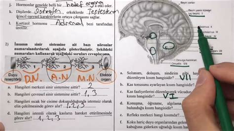 Simple Science: How to Make a Volcano with Kids