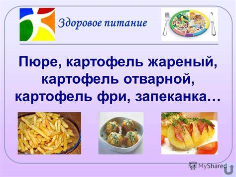 Диета 5 пюре картофельное Картофельное Пюре Диета 5 — Похудение Диета Правильное Питание Картофельное Пюре Диета 5 — Похудение Диета Правильное Питание Диета 5 пюре картофельное