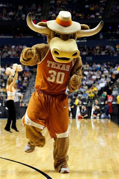 Mascot Monday University Of Texas University Of Texas Texas