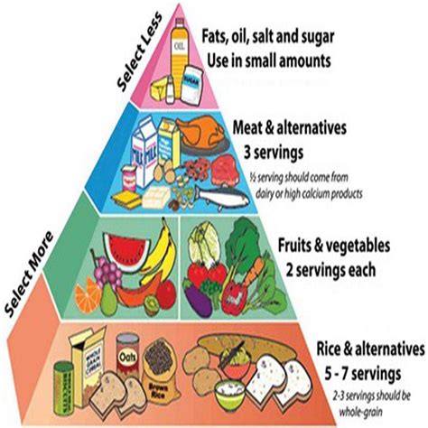 Bodybuilding Food Pyramid