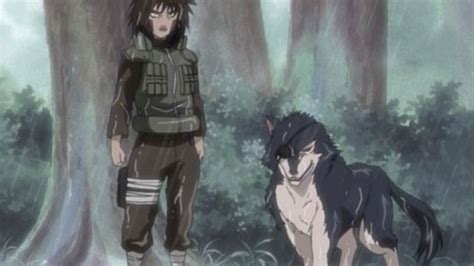 Naruto Characters As Dogs