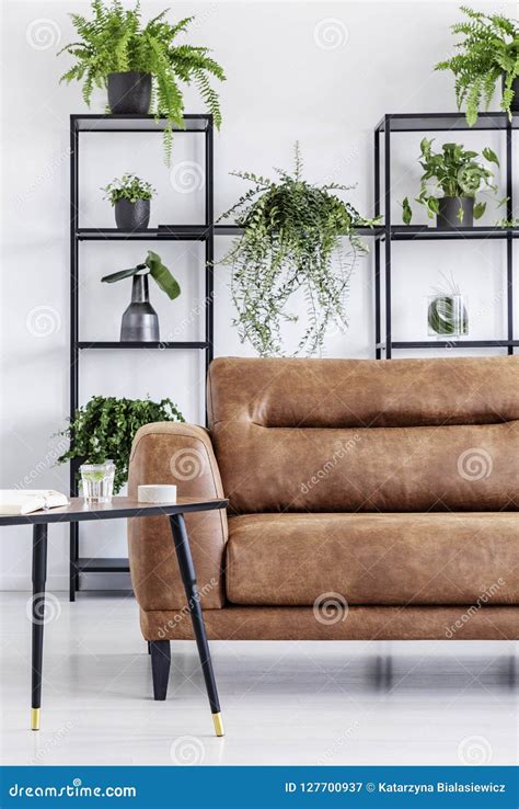 Plants On Shelves In White Modern Living Room Interior With Table Next