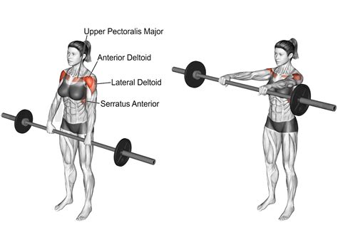 How To Perform The Front Raise Barbell Exercise Barbell Front Raise