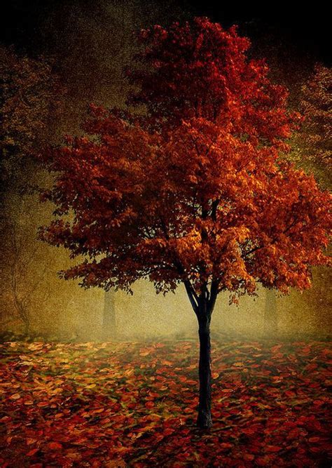 Herbst 2045 … | Malen, Zeichnen | Осенние деревья, Осенний пейзаж и Осень