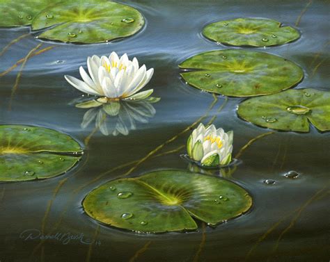 Water Lilies Picture This Framing And Gallery