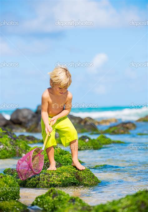 Happy Young Boy Having Fun At The Beach Playing With Fishing Ne