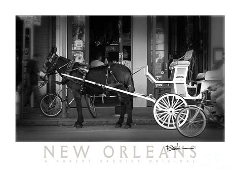 French Quarter Horse And Buggy Photograph By Robert Baudier