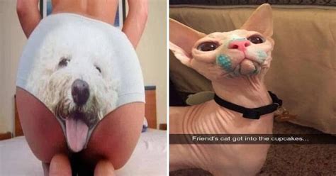 26 Pictures To Get You Through The Day