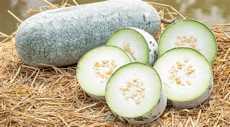 18 of the Absolute Best Winter Melon Recipes to Try This Year ...
