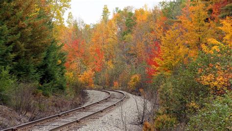 Fall Color And Railroad Tracks 3844 Stock Photo Image Of Pond