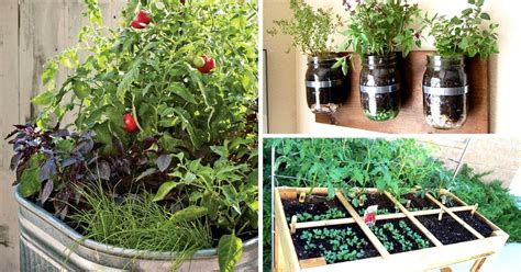 5 Space Savvy Easy And Efficient Urban Gardening Ideas
