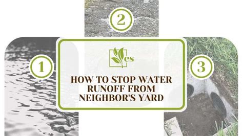 How To Stop Water Runoff From Neighbors Yard Best Solution