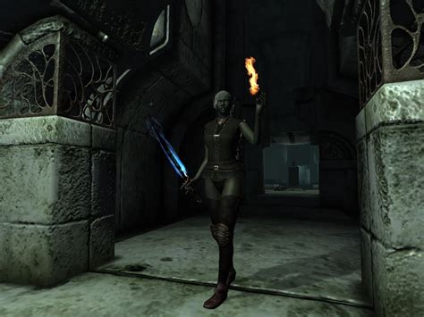 Vampire Hunter At Oblivion Nexus Mods And Community