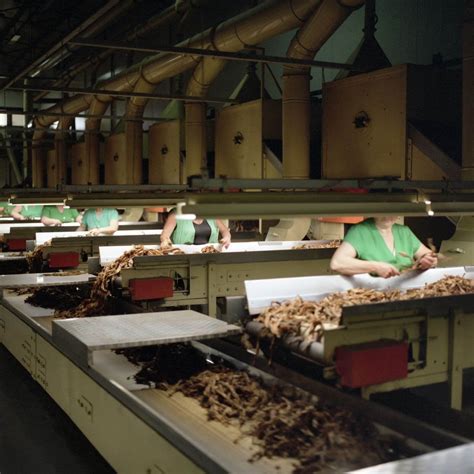 Photos Of The International Tobacco Industry And Anti Smoking Images