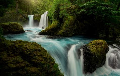 Wallpaper Forest River Moss Waterfalls Columbia River Gorge