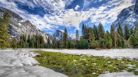 Free Download Download Yosemite Spring Grass Ultrahd Wallpaper