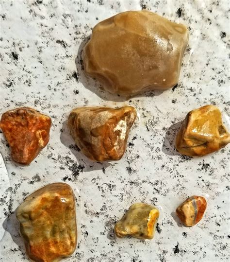 Any Agates Pictured Rock Tumbling Hobby