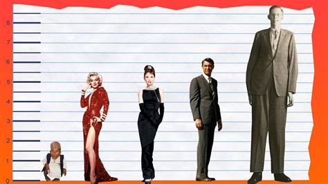 Her breast/bra size 36, waist size 24 & hip size 36 you may also check kangana ranaut, avika gor age, height & body measurements. How Tall Is Marilyn Monroe? - Height Comparison! - YouTube