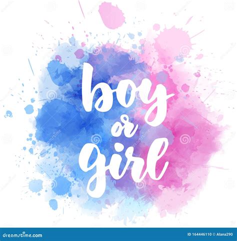 Boy Or Girl Gender Reveal Stock Vector Illustration Of Messy