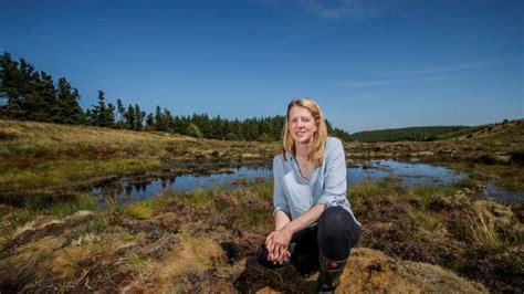 How Restoring Wales Bogs Is Improving Water And Wildfire Security