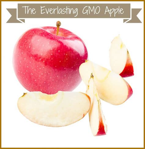 Gmo Apple1 992x1024 The Everlasting Gmo Apple Apple Natural Living Gmo