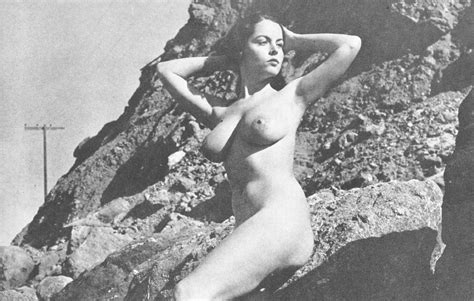Wallpaper Model Brunette Nude Busty Black And White