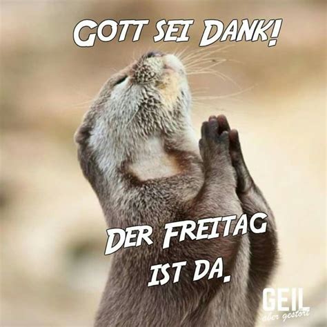Schones wochenende gifs 120 frei animierte bilder. Einen schönen freitag gif | Bilder und Sprüche für ...