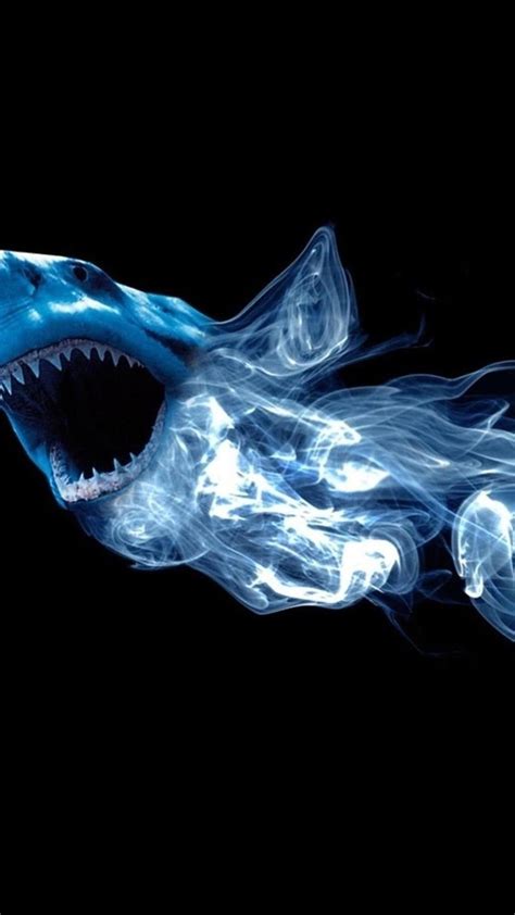 21 Shark iPhone Wallpapers - Wallpaperboat