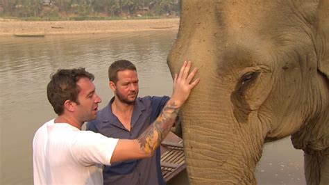 Bbc Two Bears About The House Series 1 Episode 1 Elephant Tourism A Way Forward