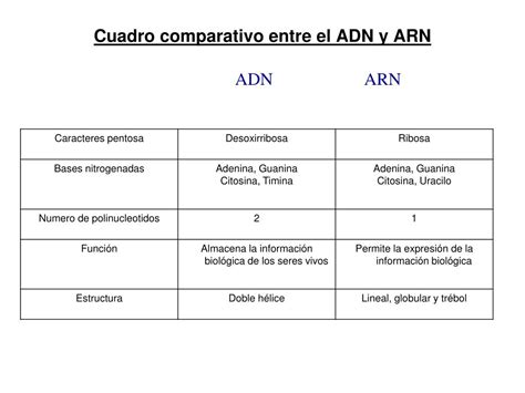 Diferencias Entre Adn Y Arn Cuadro Comparativo Adn Y Arn Molecula