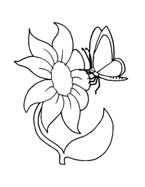 Get flower coloring pages to print and make this you should share printable butterflies coloring pages for kids with linkedin or other social media, if you interest with this backgrounds. Flower and Butterfly Coloring Page - NetArt