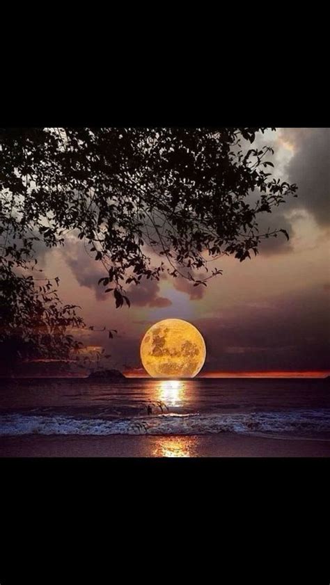 Pin By Ray Harding On Wwf Beautiful Moon Beautiful Nature Nature